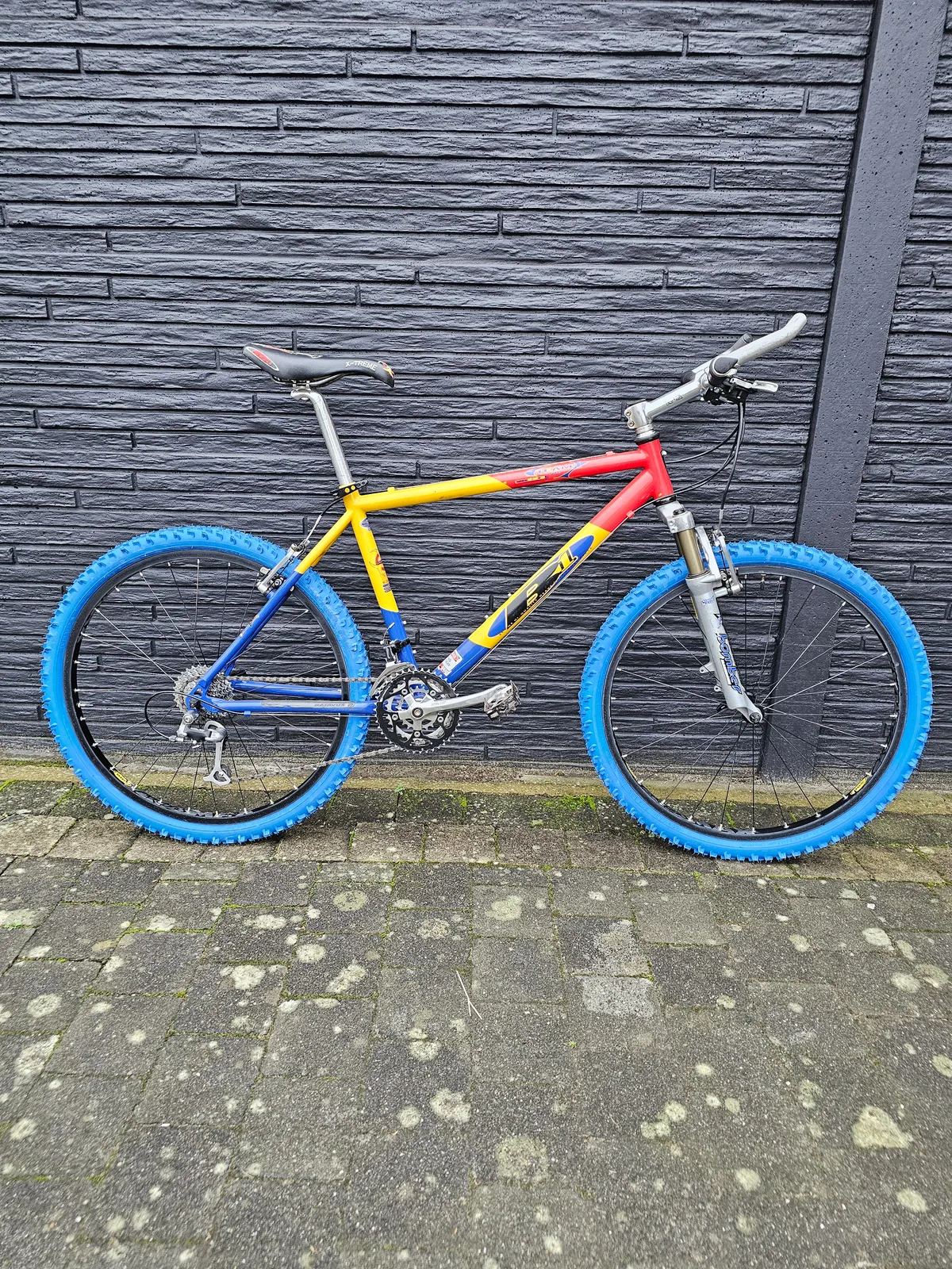 B1 team pro titanium 1997