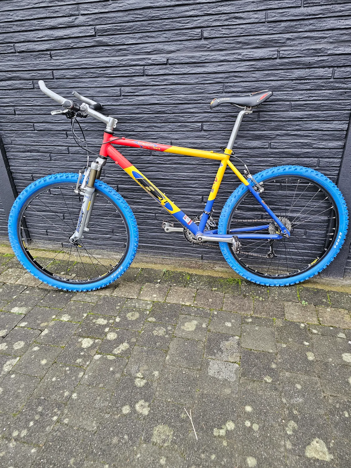 B1 team pro titanium 1997 view 8
