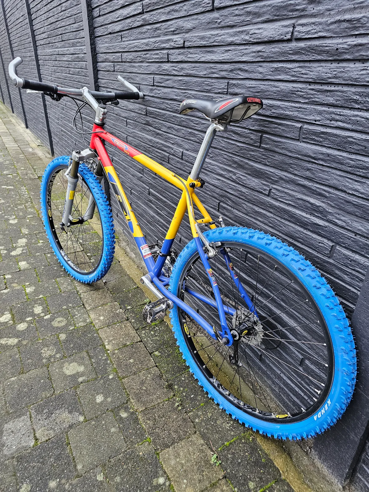 B1 team pro titanium 1997 view 9