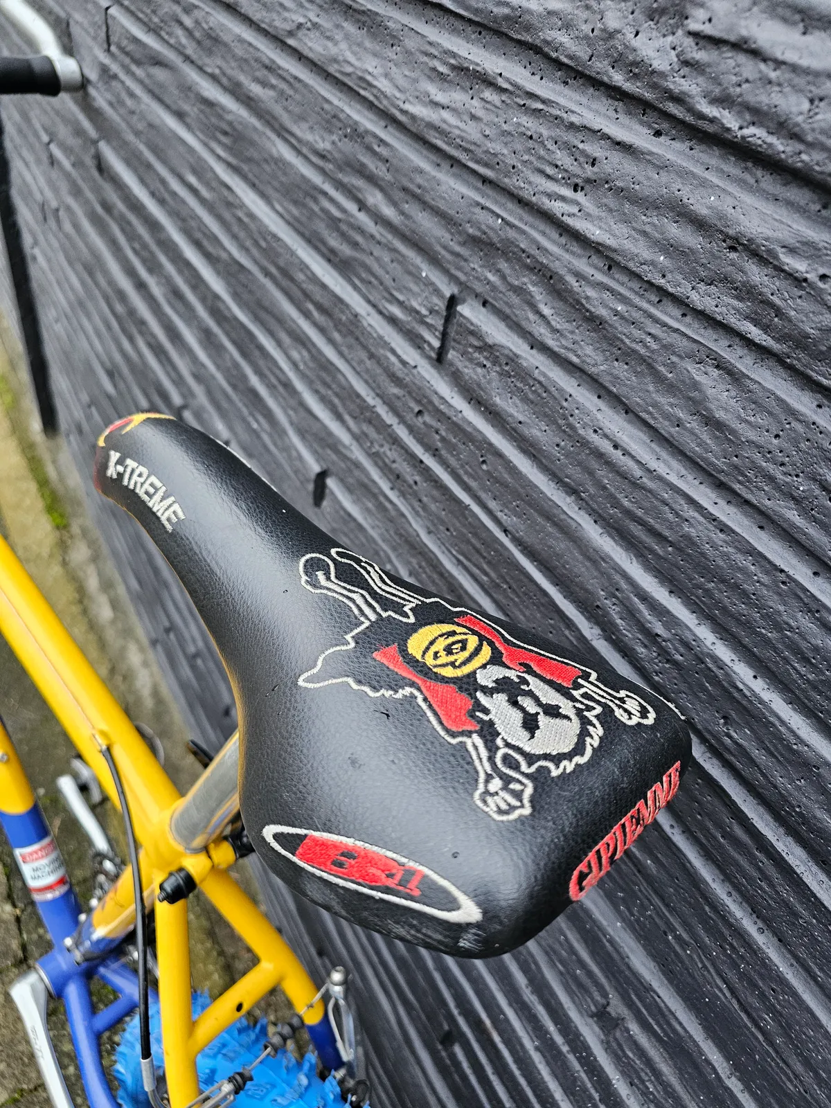 B1 team pro titanium 1997 view 10