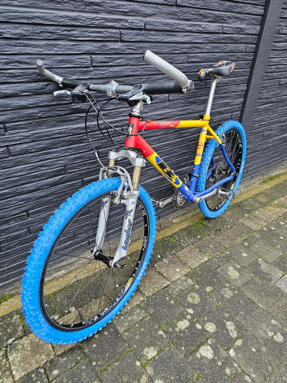 B1 team pro titanium 1997 view 11
