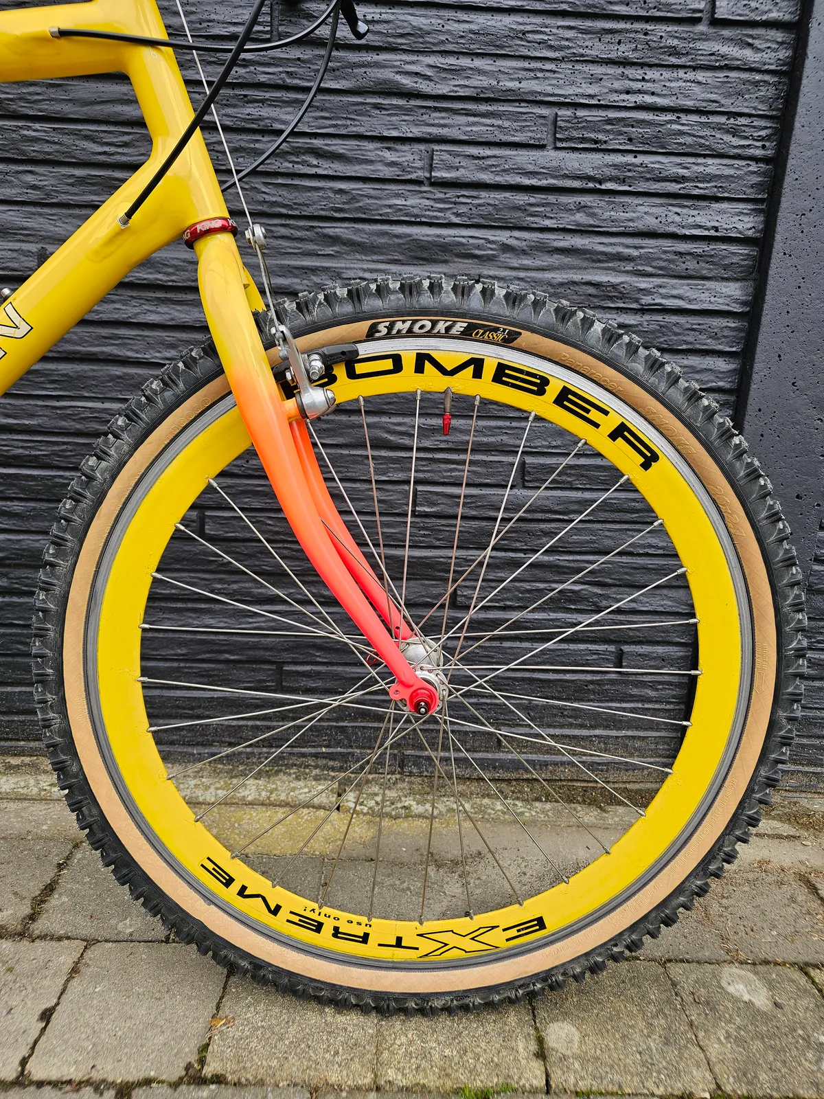 Klein Pinnacle MC1 1991 Backfire view 29