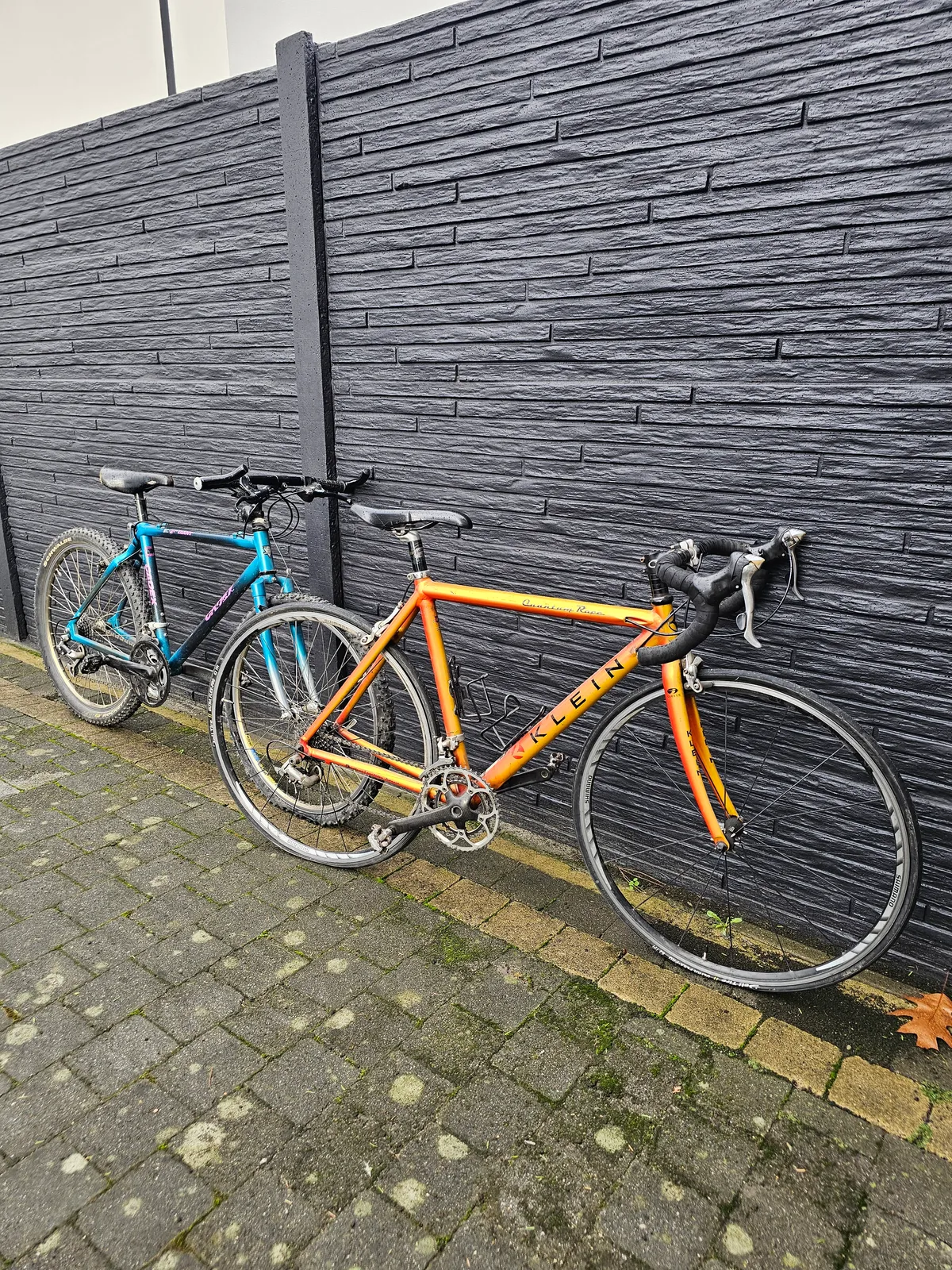 Klein Quantum race 1998 Jamaican Gold view 2