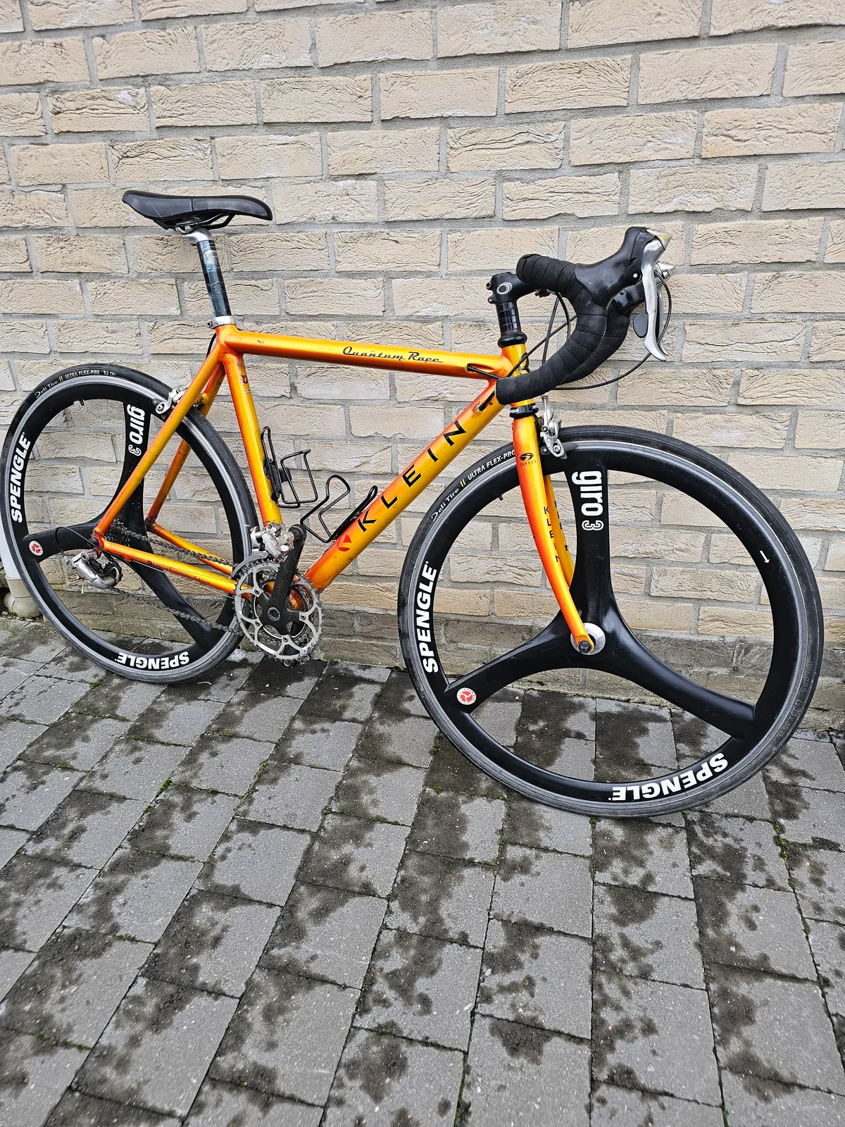 Klein Quantum race 1998 Jamaican Gold view 3