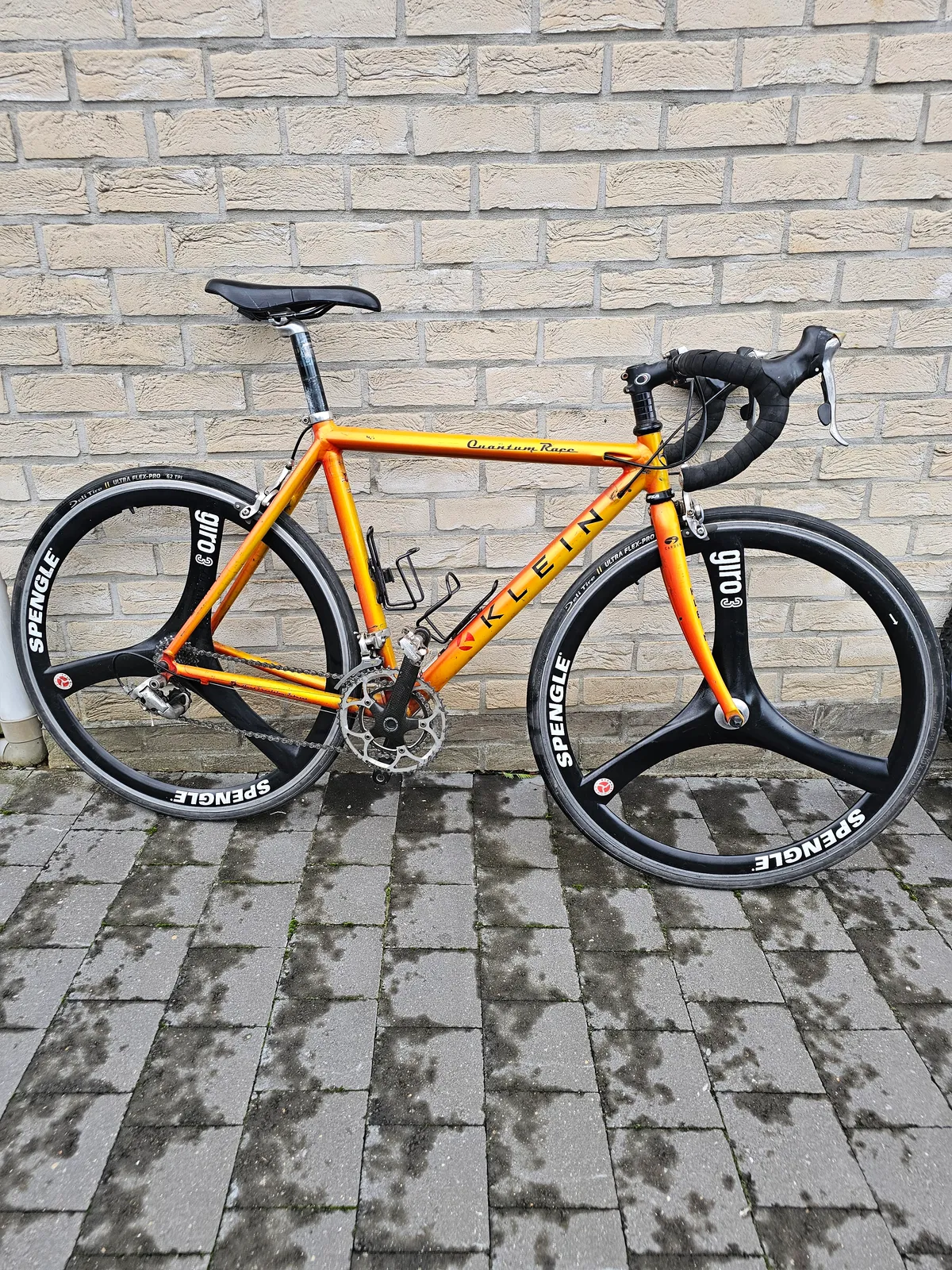Klein Quantum race 1998 Jamaican Gold view 4