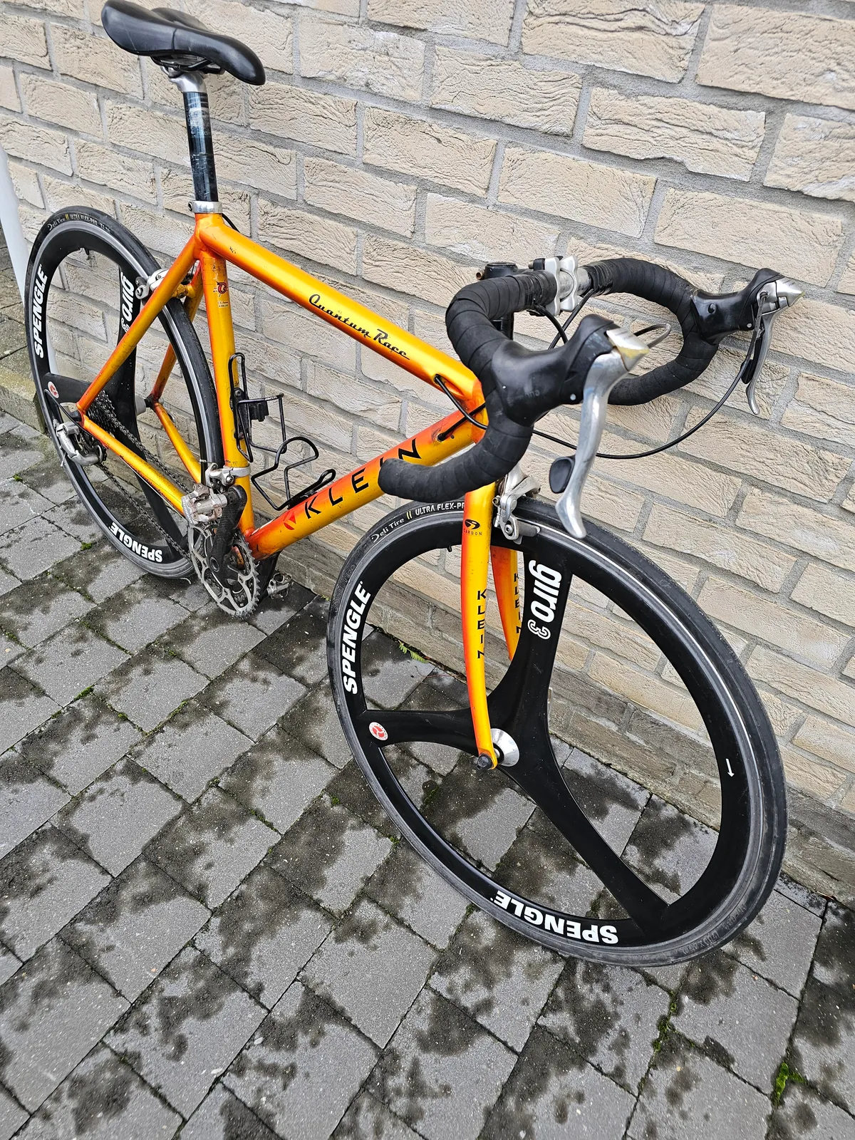 Klein Quantum race 1998 Jamaican Gold view 5