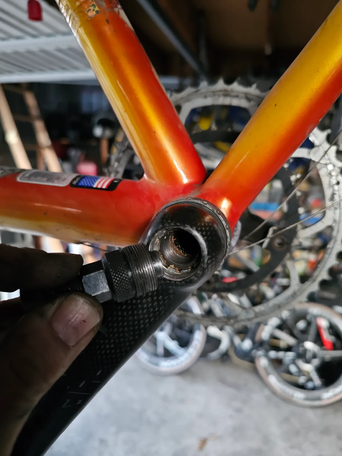 Klein Quantum race 1998 Jamaican Gold view 6