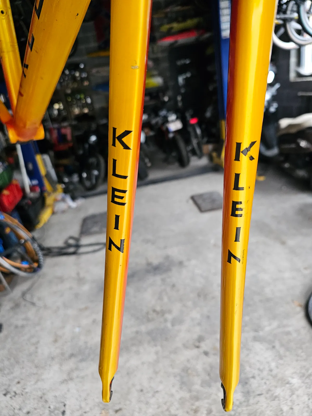 Klein Quantum race 1998 Jamaican Gold view 7