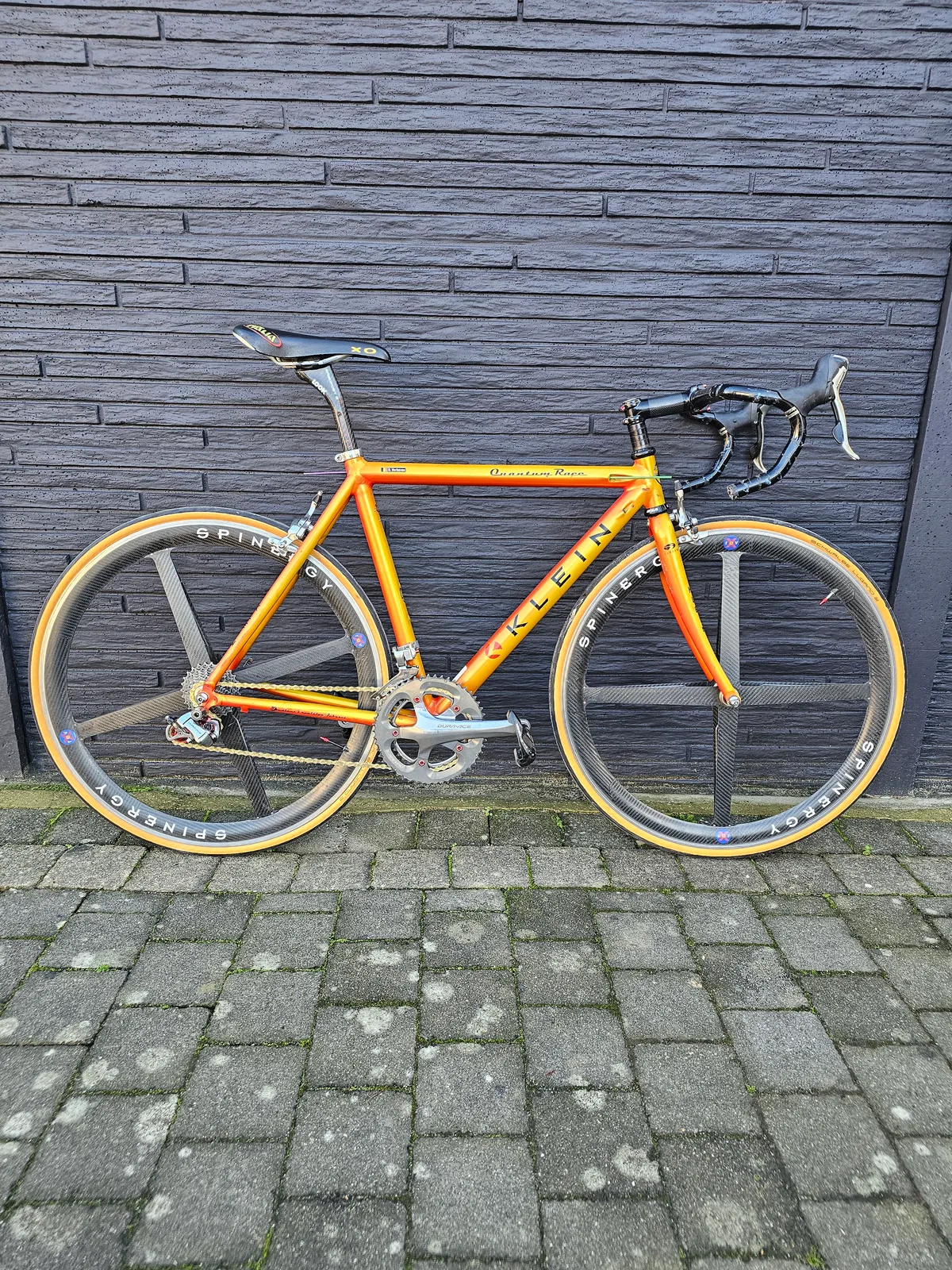 Klein Quantum race 1998 Jamaican Gold view 17