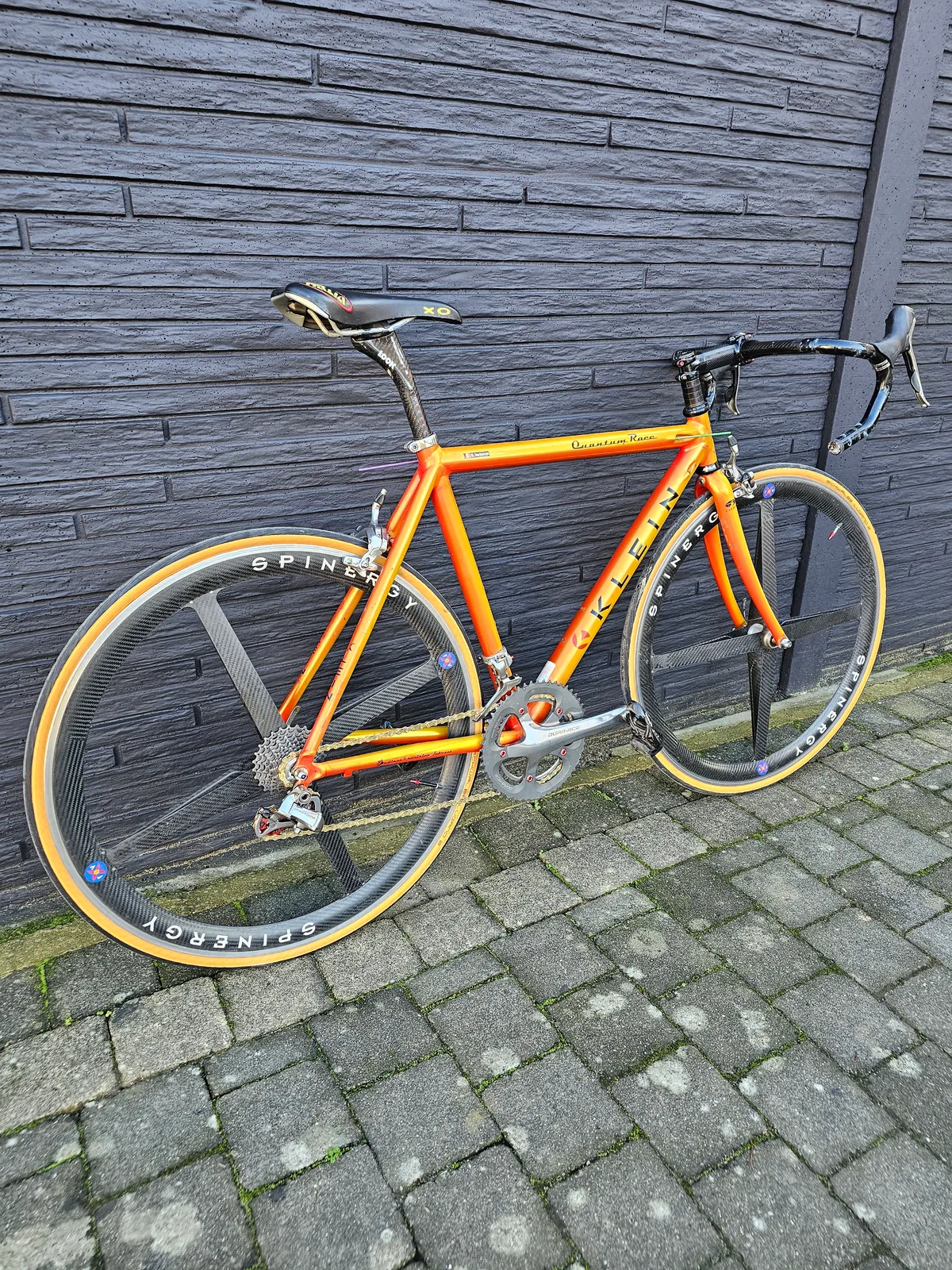 Klein Quantum race 1998 Jamaican Gold view 19