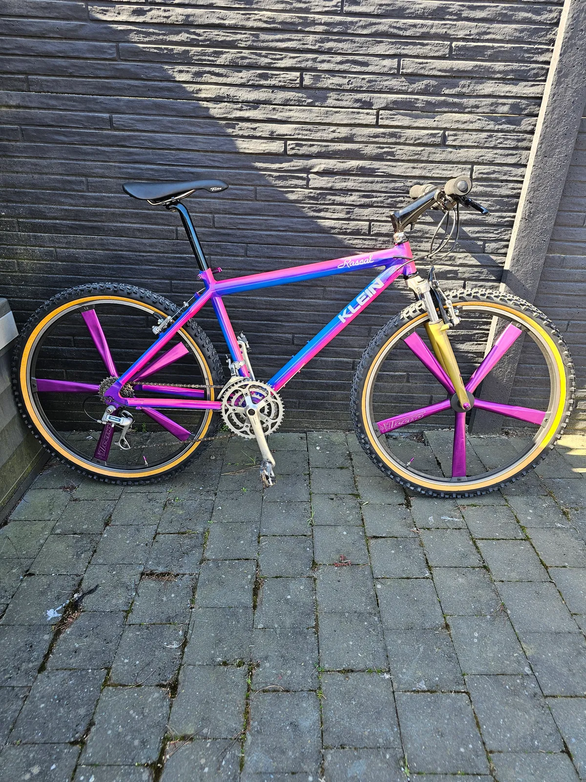 Klein Rascal MC1 1992 Horizon Linear Fade view 11