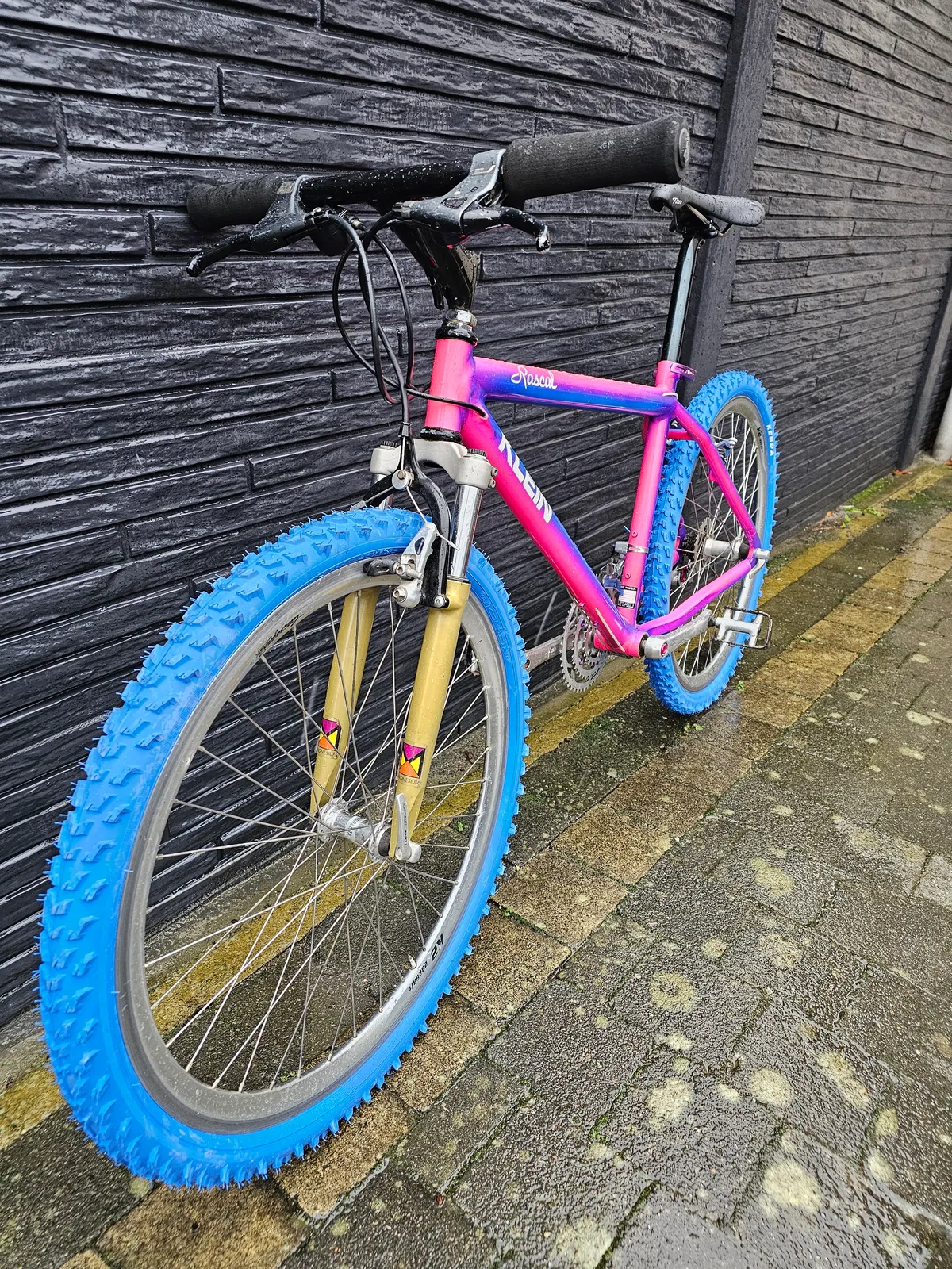 Klein Rascal MC1 1992 Horizon Linear Fade view 37
