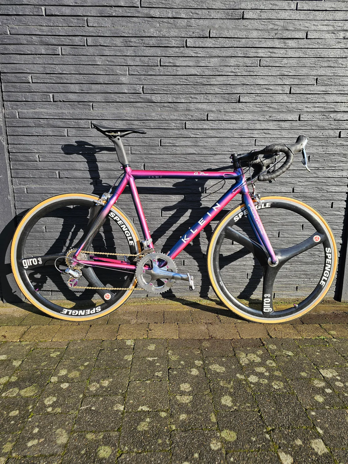 Klein q pro 2002 Blazing Lupine