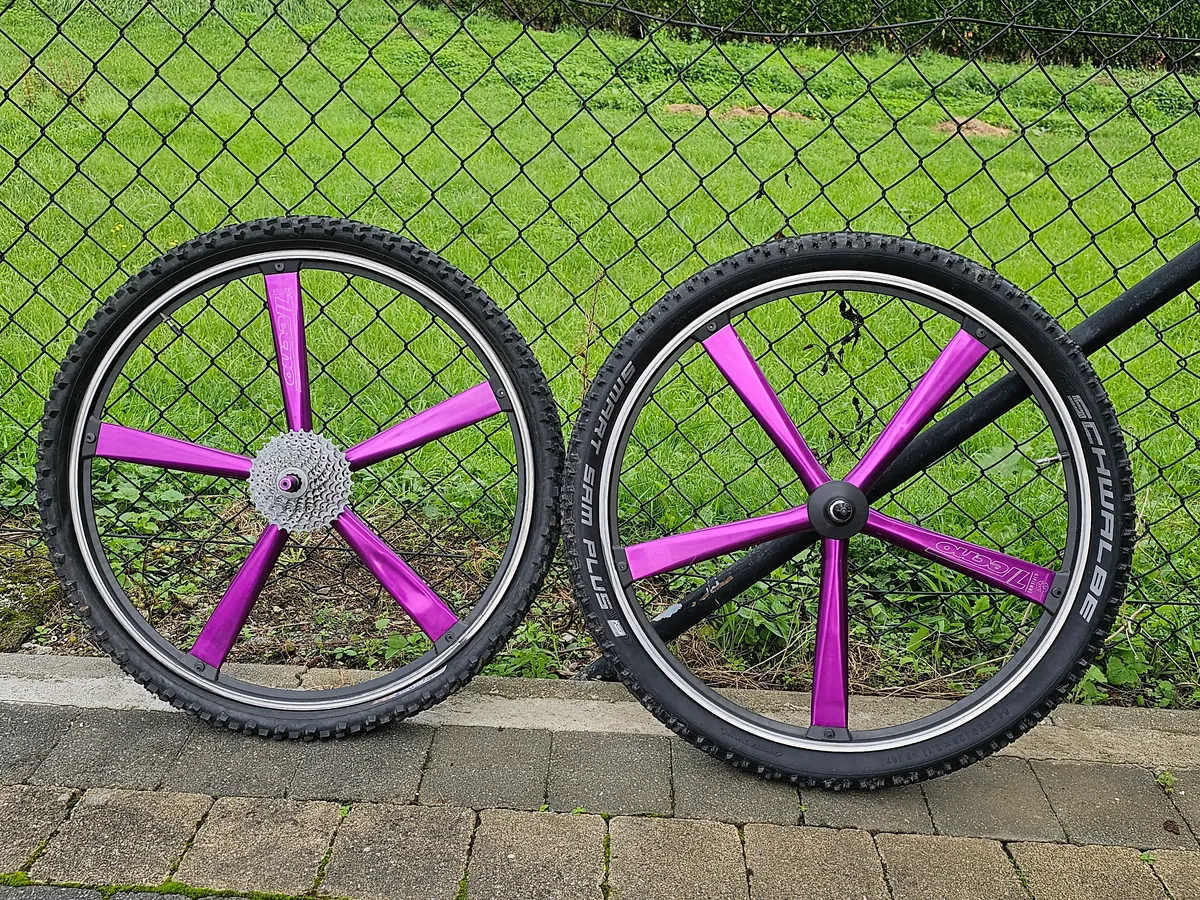 Minerva Alpine Pro 1993 view 2
