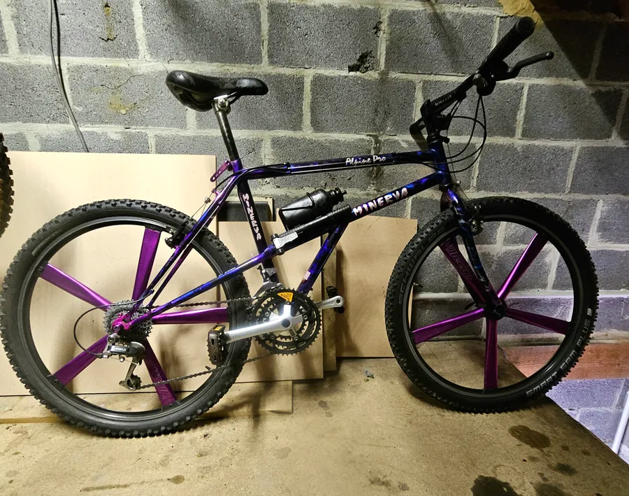 Minerva Alpine Pro 1993 view 3