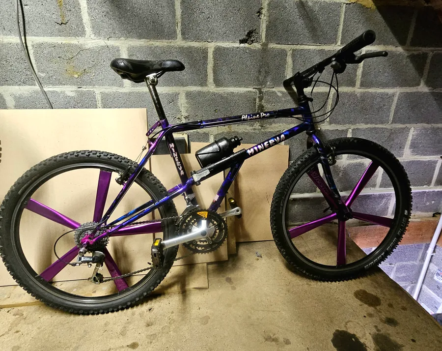 Minerva Alpine Pro 1993 view 4