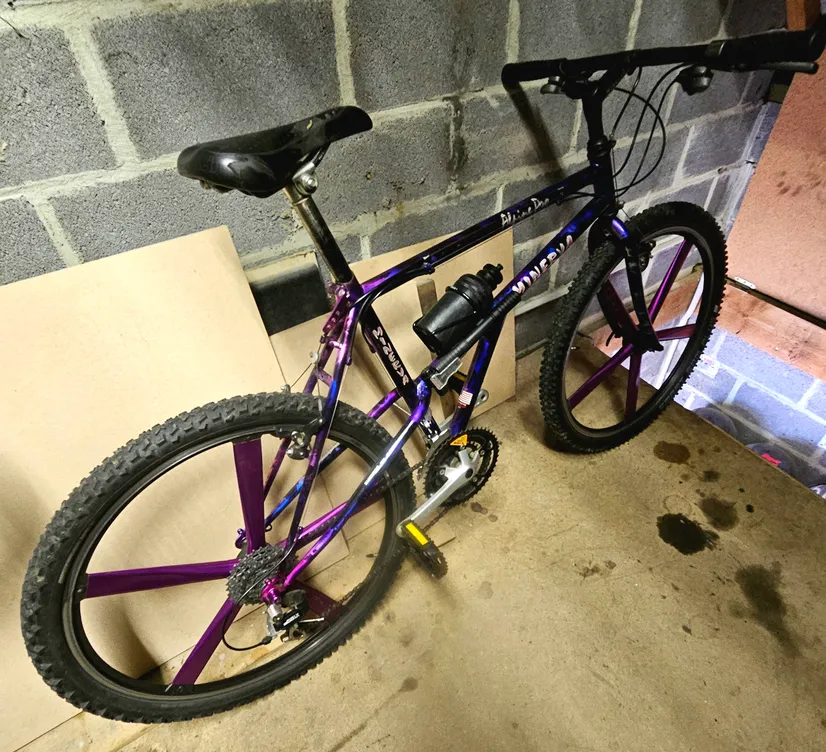 Minerva Alpine Pro 1993 view 5