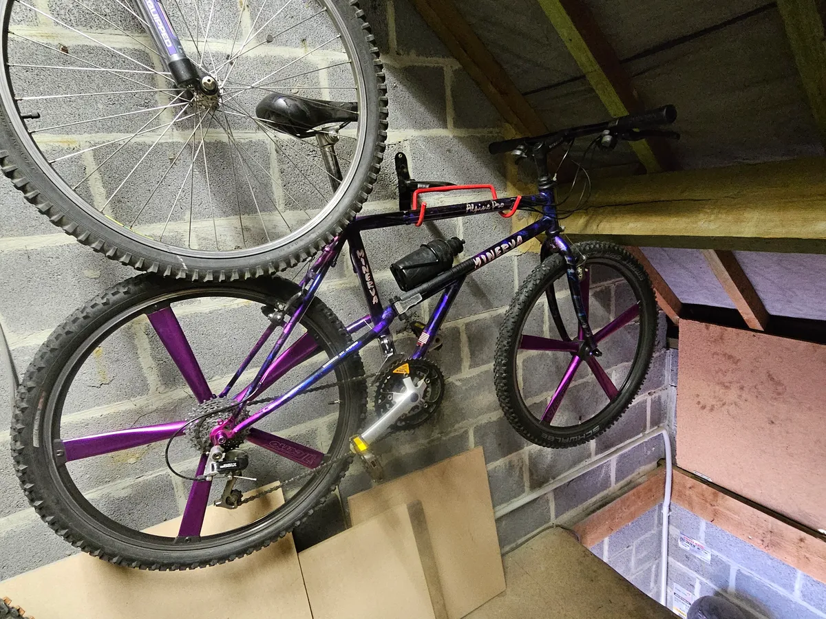 Minerva Alpine Pro 1993 view 6