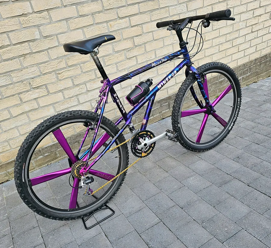Minerva Alpine Pro 1993 view 7
