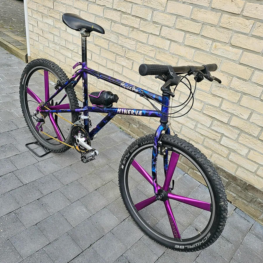 Minerva Alpine Pro 1993 view 8