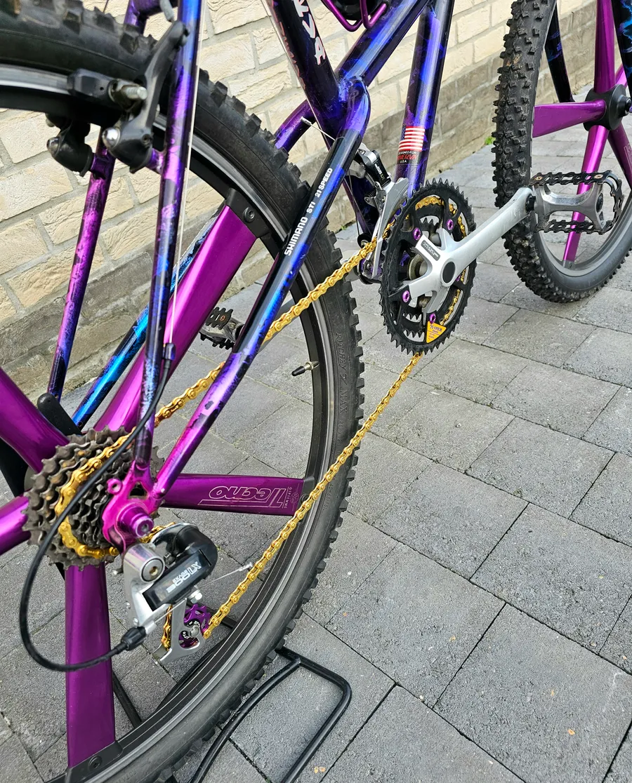 Minerva Alpine Pro 1993 view 9
