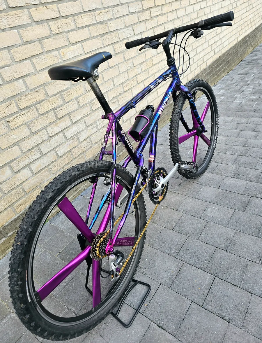 Minerva Alpine Pro 1993 view 10