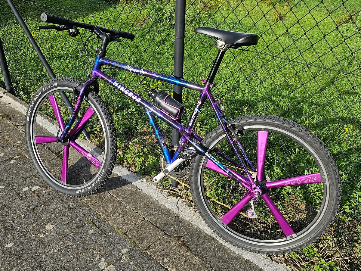 Minerva Alpine Pro 1993 view 11