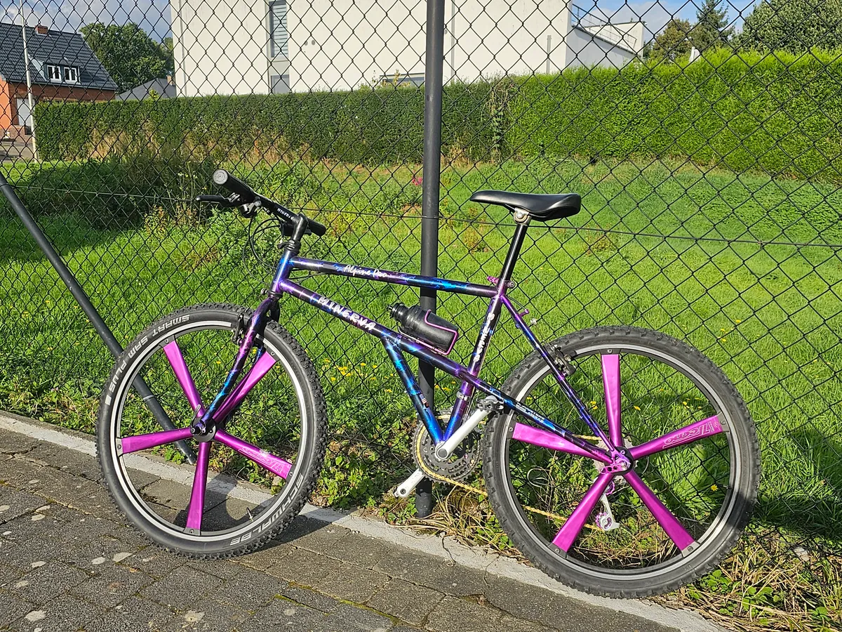 Minerva Alpine Pro 1993 view 12
