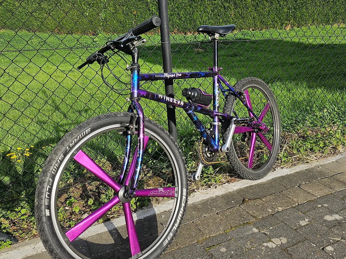 Minerva Alpine Pro 1993 view 13