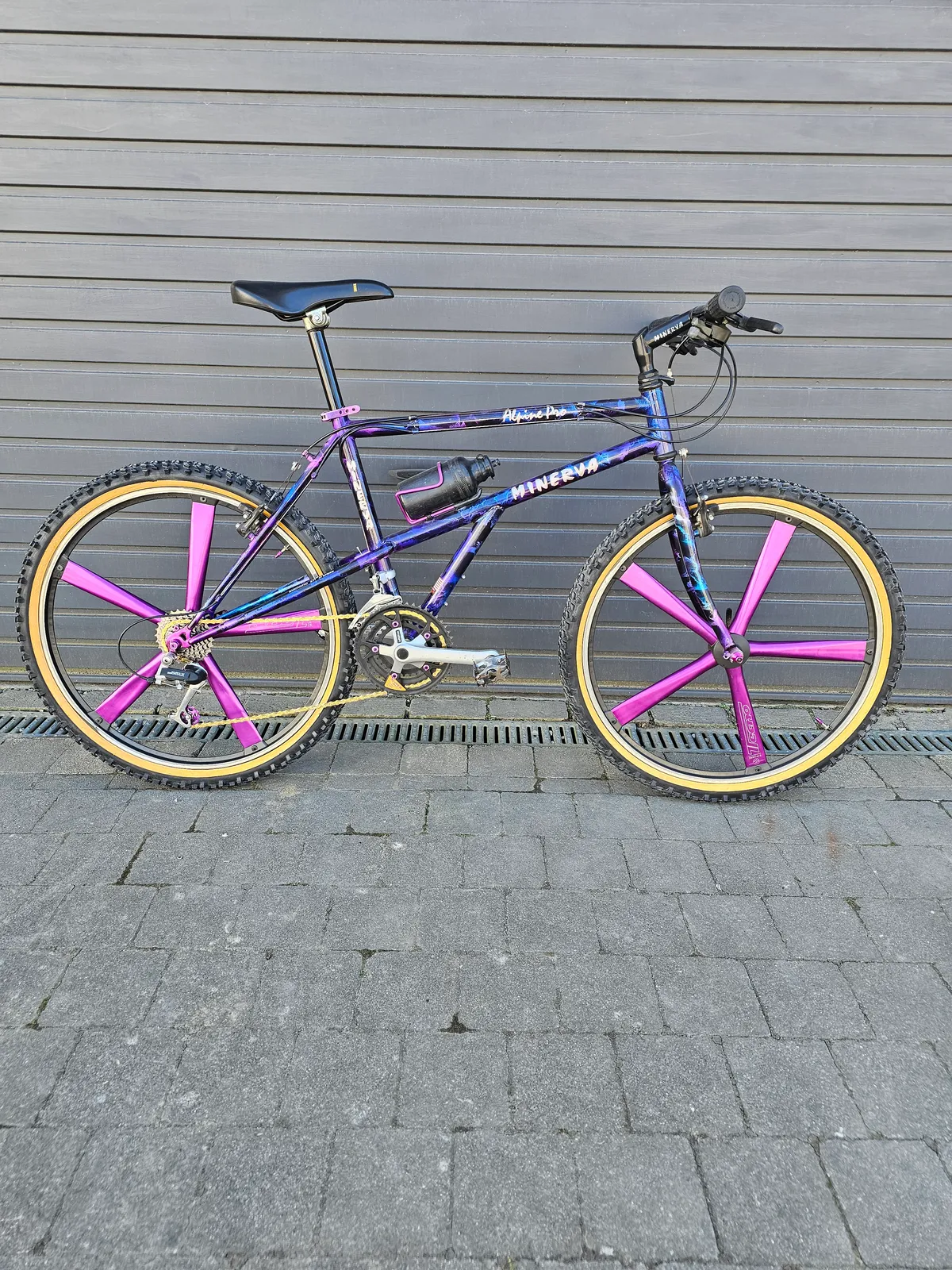 Minerva Alpine Pro 1993 view 14