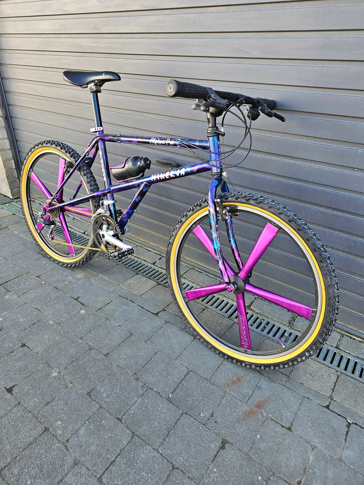 Minerva Alpine Pro 1993 view 15