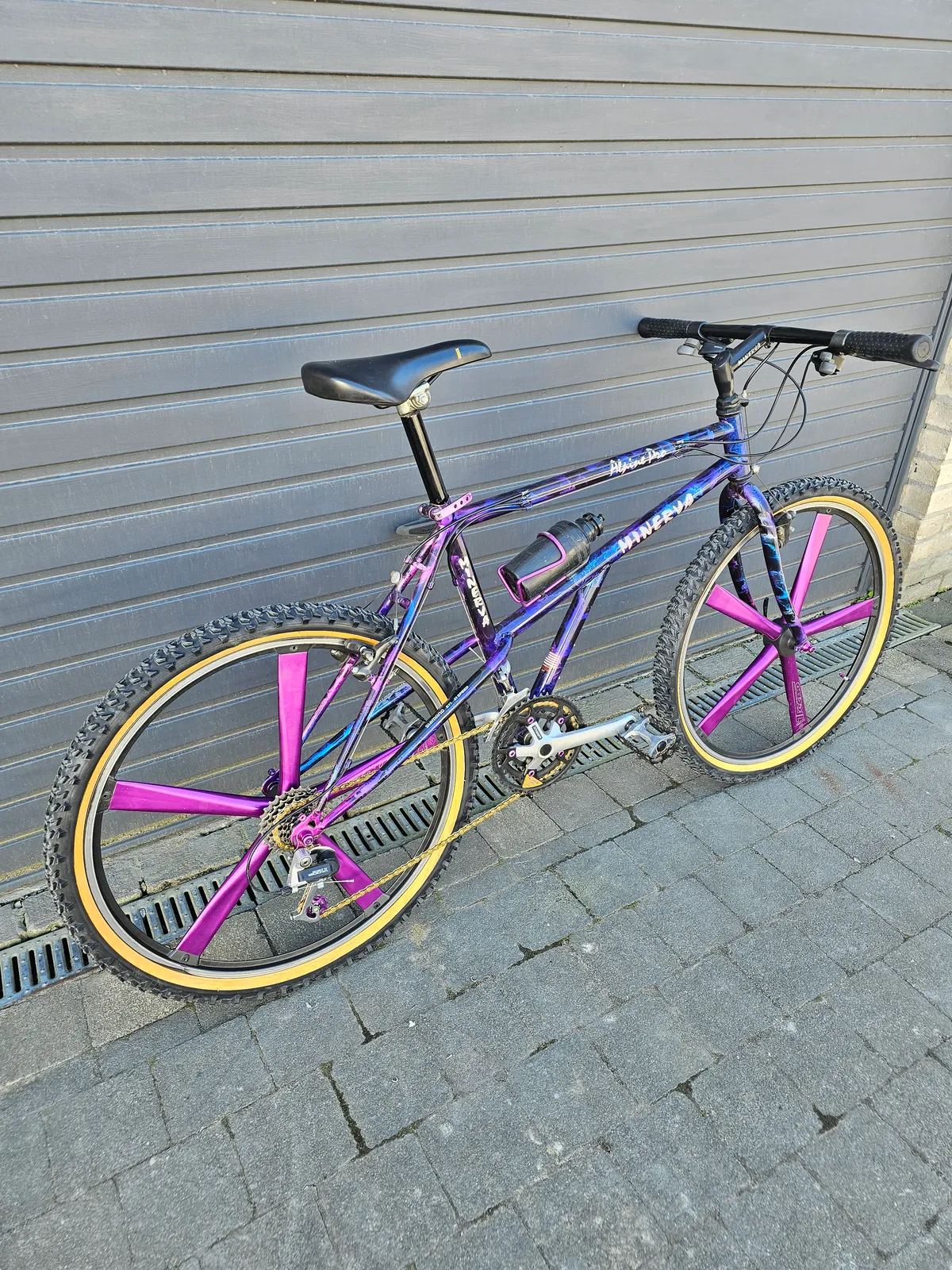 Minerva Alpine Pro 1993 view 16