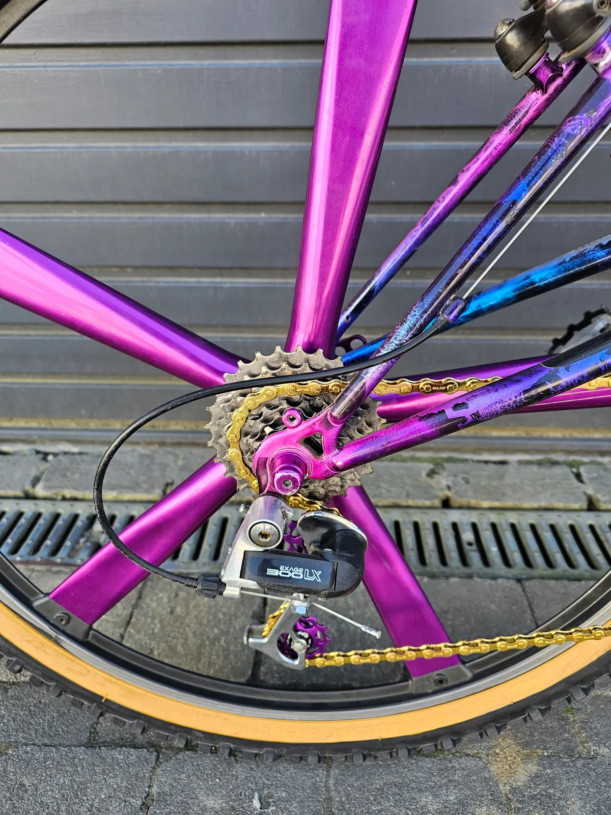 Minerva Alpine Pro 1993 view 17