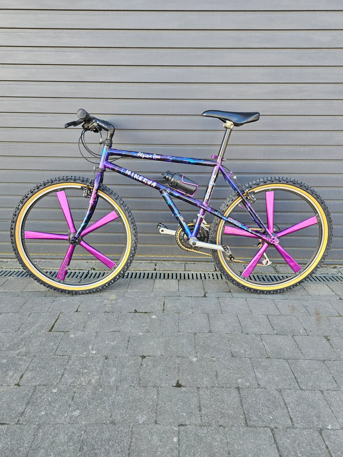 Minerva Alpine Pro 1993 view 19