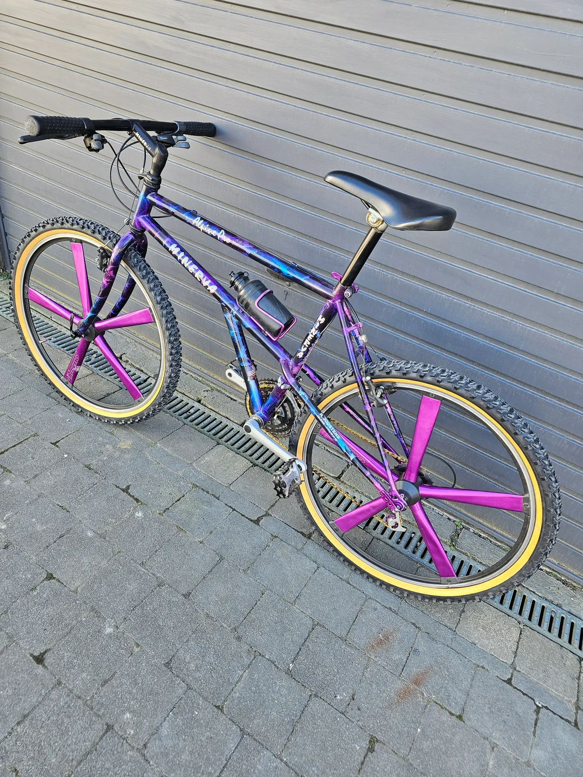 Minerva Alpine Pro 1993 view 20