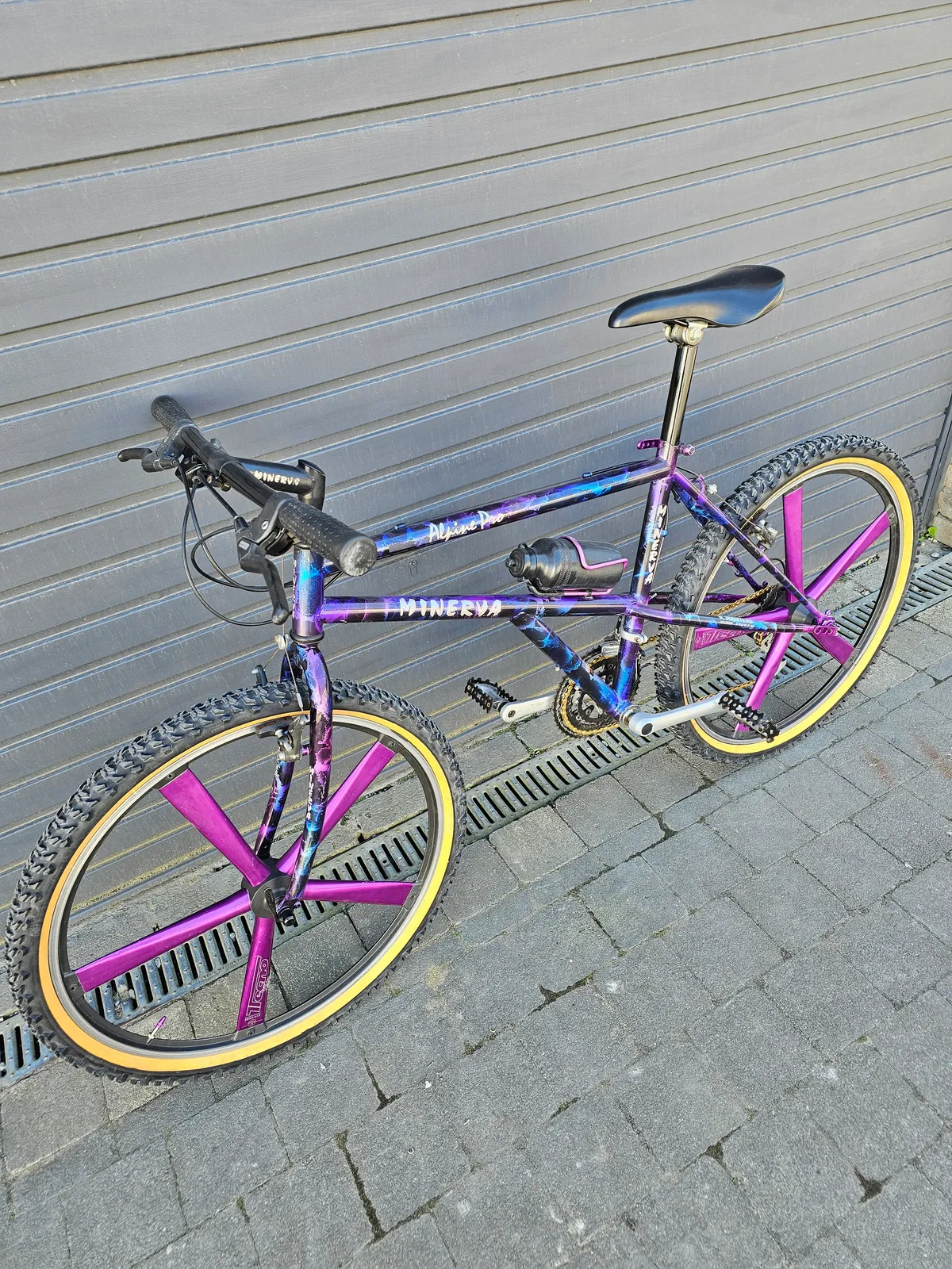 Minerva Alpine Pro 1993 view 21