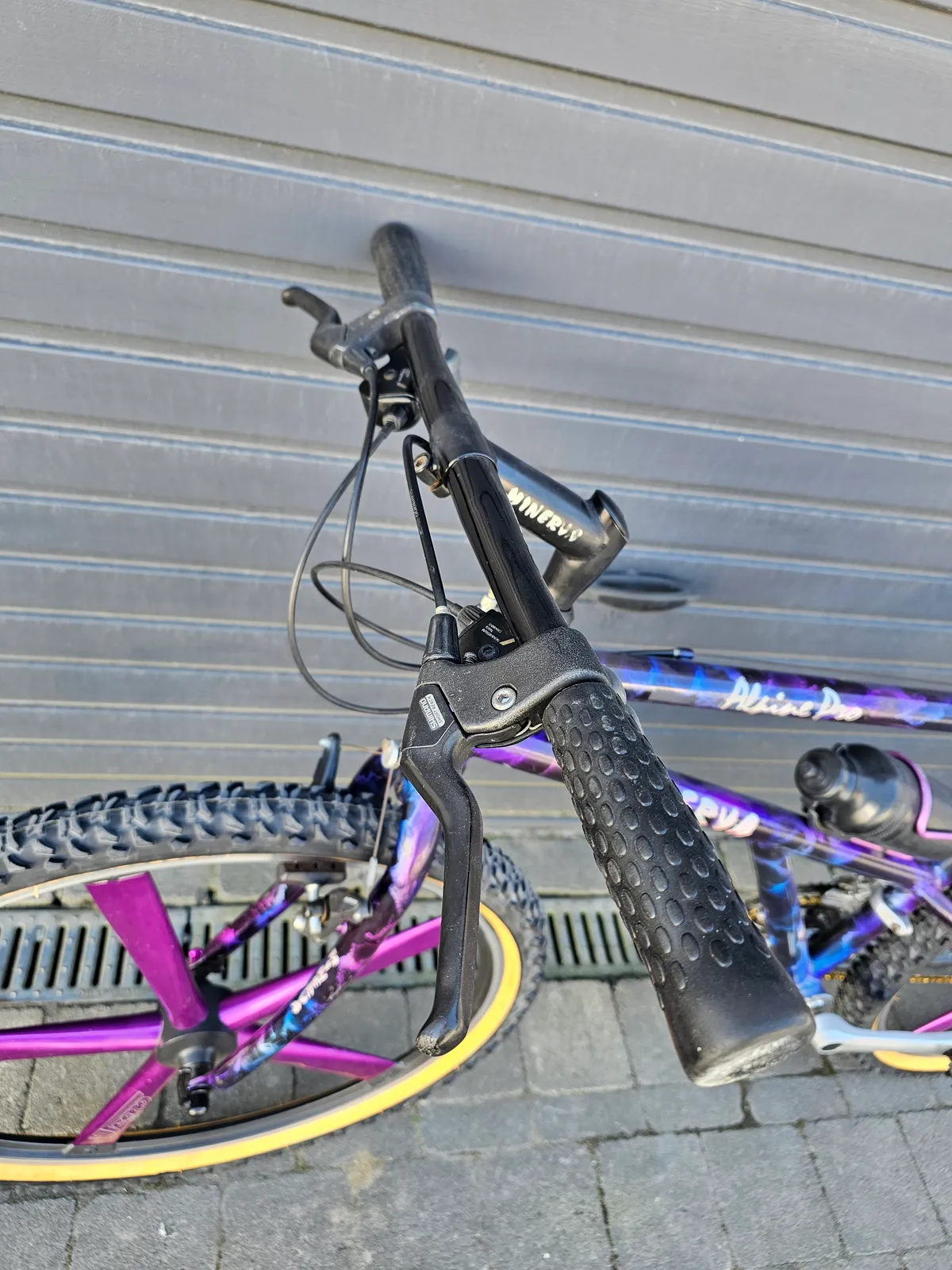 Minerva Alpine Pro 1993 view 22