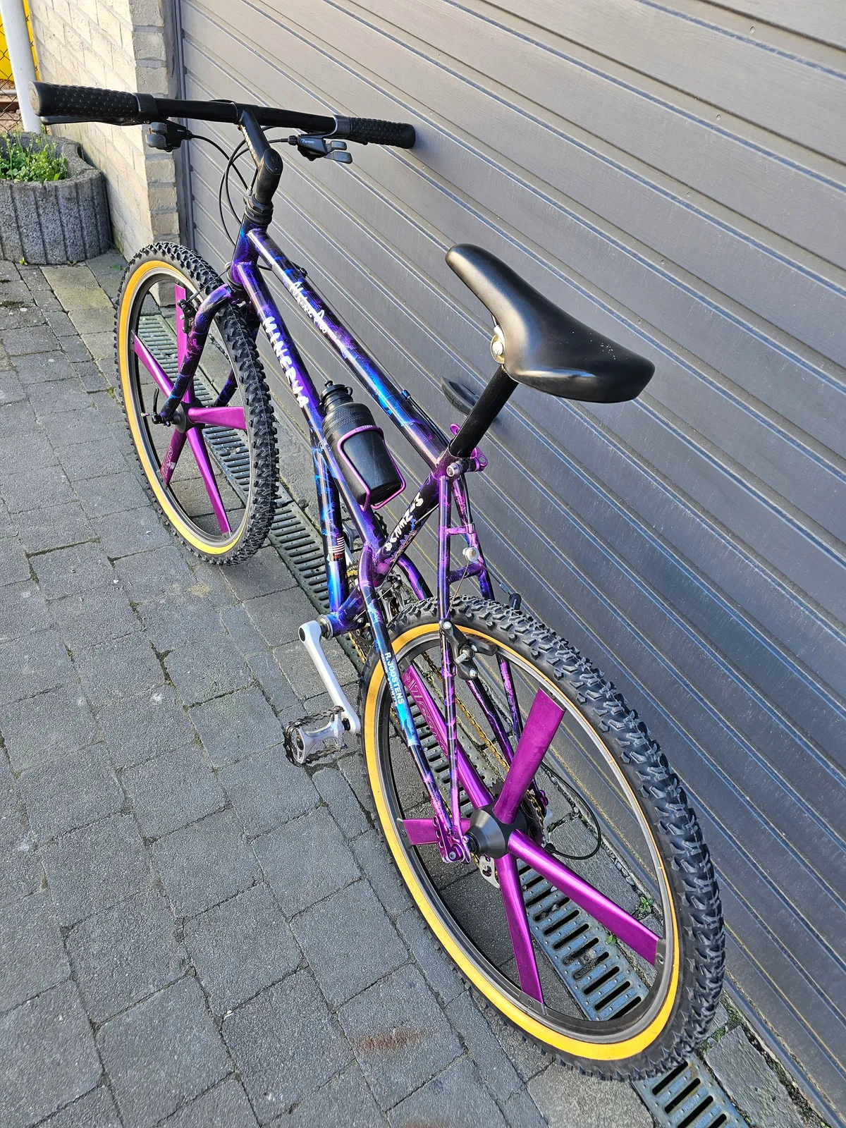 Minerva Alpine Pro 1993 view 23