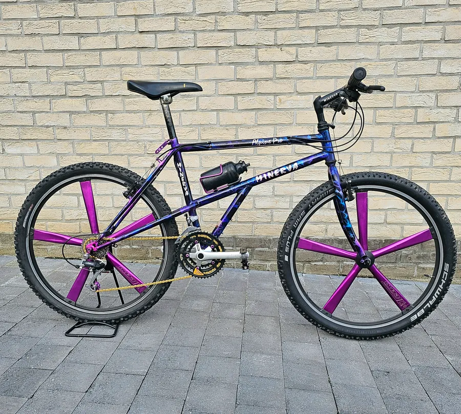 Minerva Alpine Pro 1993