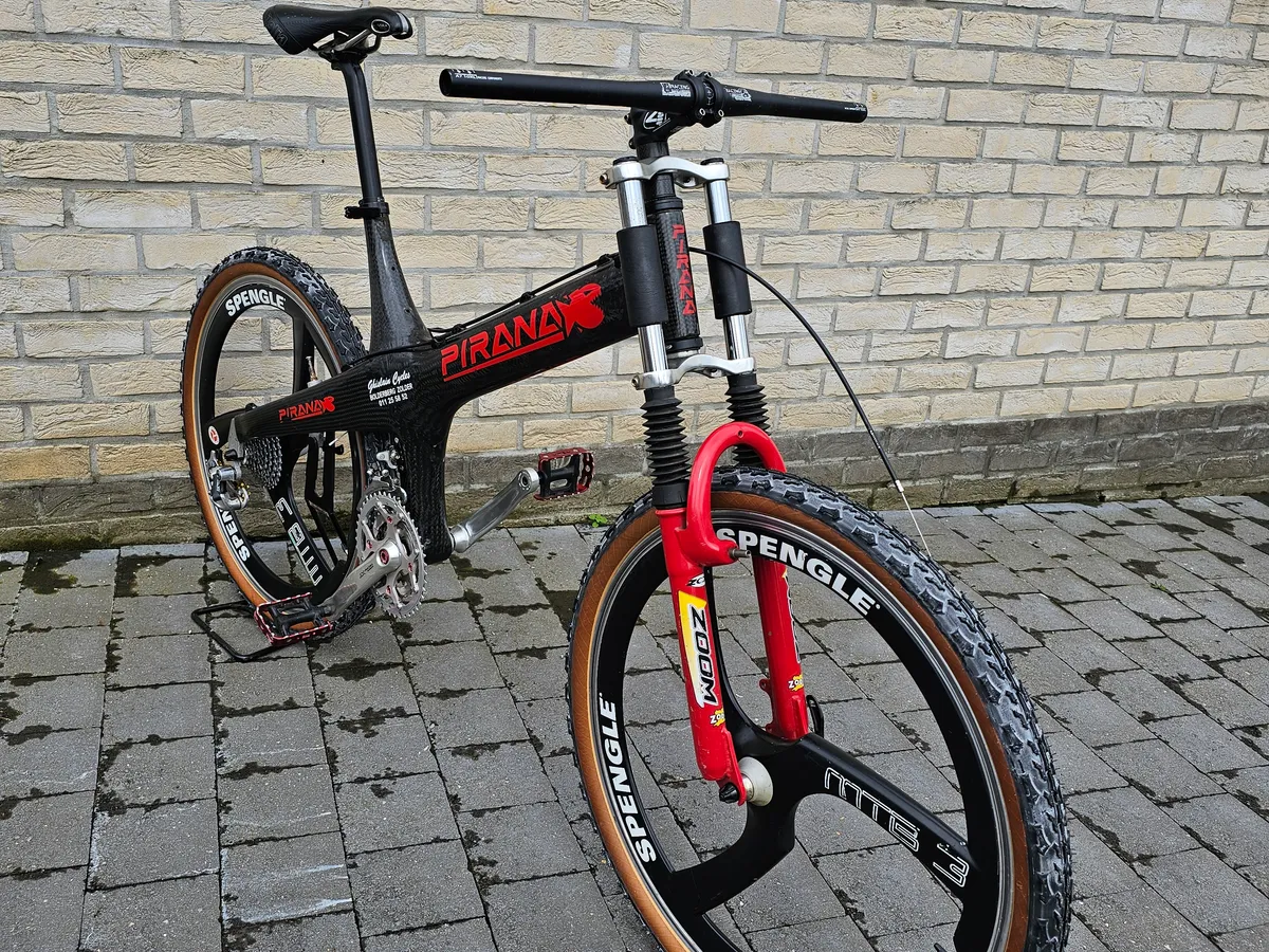 Pirana 1995 view 20