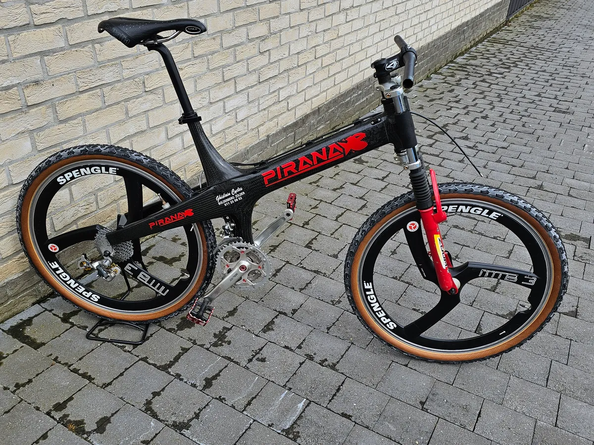Pirana 1995 view 22