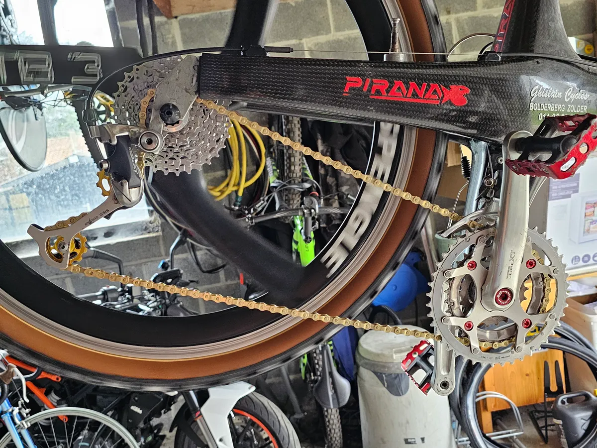 Pirana 1995 view 25
