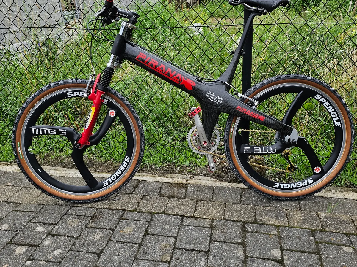 Pirana 1995 view 26