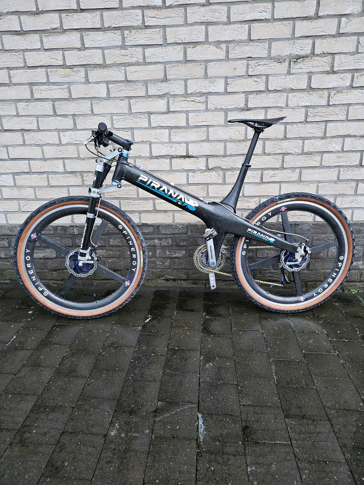 Pirana 1996 view 65