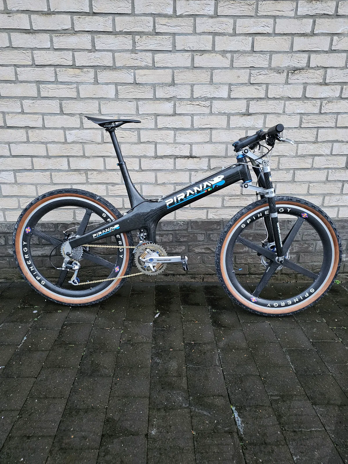 Pirana 1996